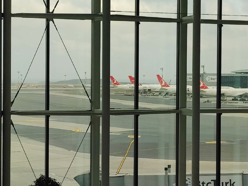 #公费旅游IST#公费旅游IST