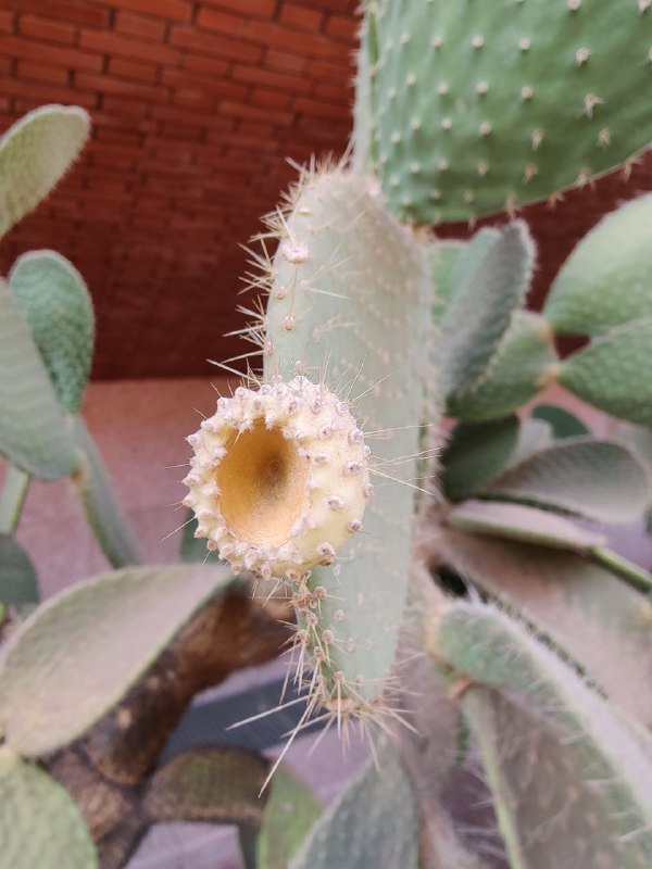 #公费旅游RAK#公费旅游RAK