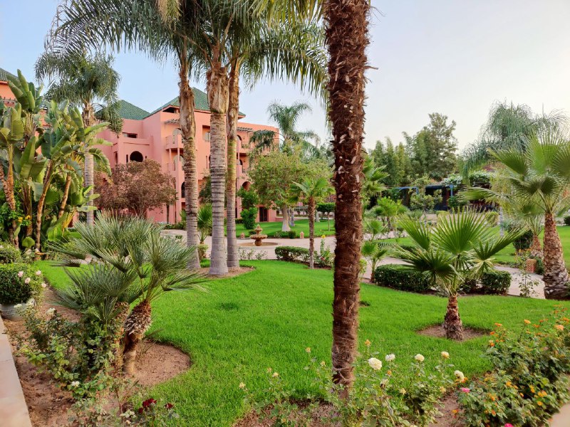 #公费旅游RAK#公费旅游RAK