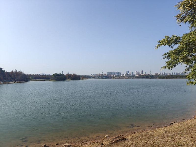 来松山湖挖华为埋在湖底的芯片了