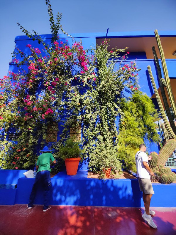 #公费旅游RAK#公费旅游RAK